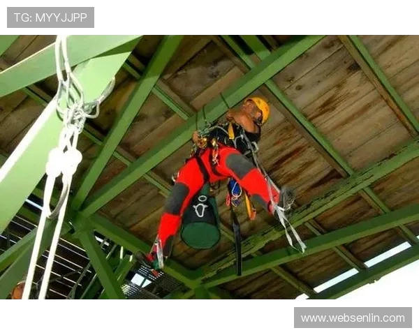 攀岩精神的传承与挑战上海攀岩队的故事与探索之旅